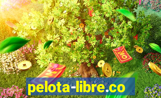 pelota-libre.com