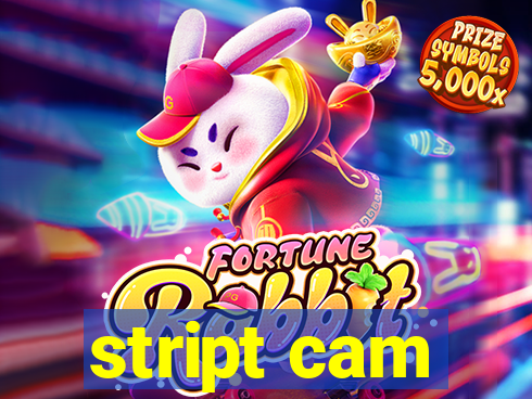 stript cam