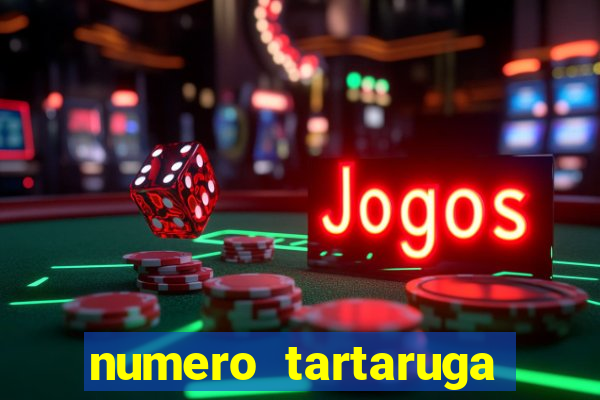 numero tartaruga jogo do bicho