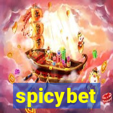 spicybet-1.com