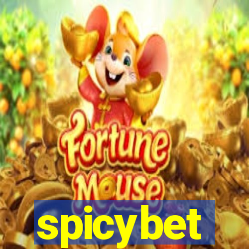 spicybet-3.com