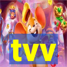 tvv-pg.com