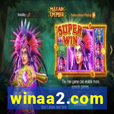 winaa2.com