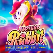 fortune rabbit paga mesmoInformational